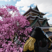 Escape Game Aduti SakuraCastle icon