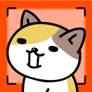 Headbang Cat Shutter Chance APK