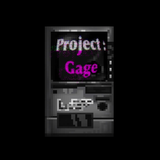 PROJCET GAGE