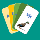 Flashcard - Học chữ cái, số đếm, động vật, hoa quả icon