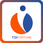 TEKFORTUNE ikon