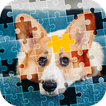 Jigsaw Wold - Epic Puzzle