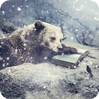 Photo animated effects theme nature Zeichen