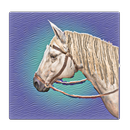 wild race west: jeu de simulat APK