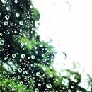 Rain Sound: Hearing Prevention APK