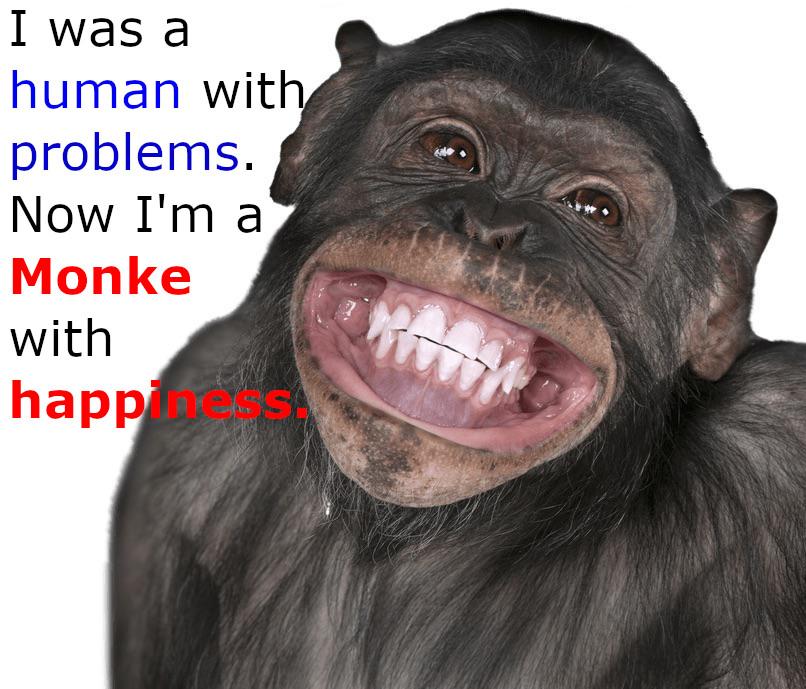 Monke manager Monke manager