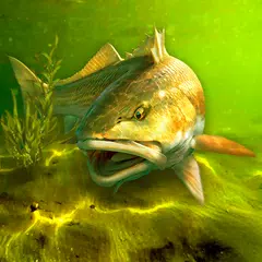 My Fishing World XAPK download