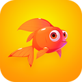 Fish Crowd