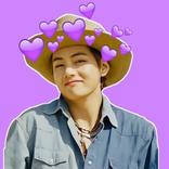 V Stickers WAStickerApps