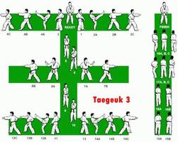 techniques de combat de taekwondo capture d'écran 1