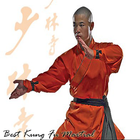 Best Kung Fu Martial Arts Training icon