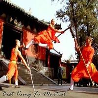 제일 Kung Fu 무술 훈련 포스터