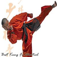 Bestes Kung Fu Martial Arts Training Screenshot 1