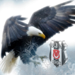 Beşiktaş Bilgi
