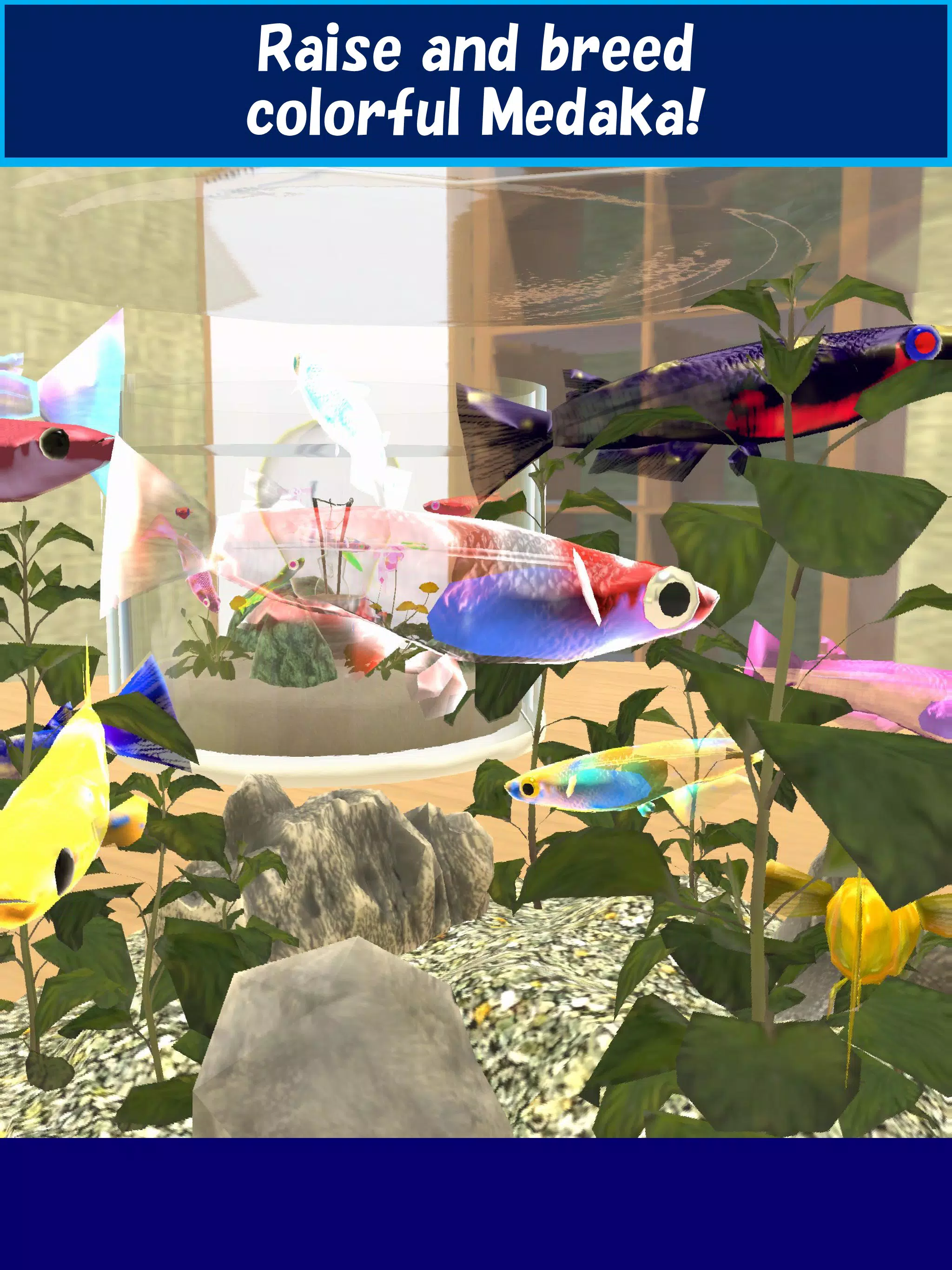 Medaka Breeder