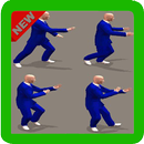 Apprenez des techniques professionneles de Tai Chi APK