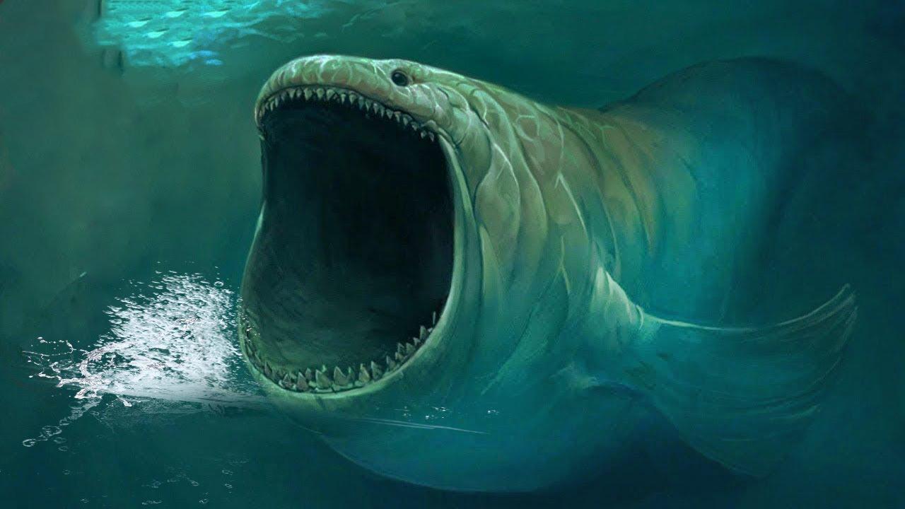 Bloop Shark: Unsolved Mystery APK للاندرويد تنزيل