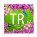 Tamil Rockers