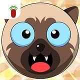Dogs Vs Cats icon