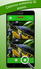 download Trova differenza 500 livelli APK
