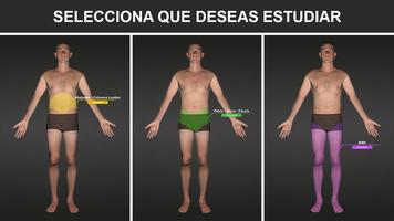 RX - Posiciones Radiológicas ภาพหน้าจอ 1