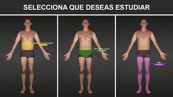 برنامه‌نما RX - Posiciones Radiológicas عکس از صفحه