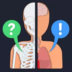 Anato Trivia - Quiz Anatomía APK Herunterladen