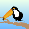 Toucan Life