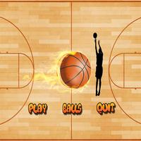 Basketball Pro screenshot 2