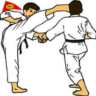 ikon Latihan Teknik Karate Terbaik