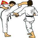 Melhor Técnica de Karate APK