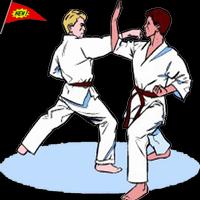 پوستر Best Karate Technique