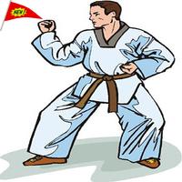 برنامه‌نما Best Karate Technique عکس از صفحه