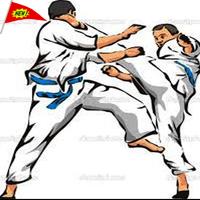 برنامه‌نما Best Karate Technique عکس از صفحه