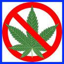 Dejala Marihuana  >> ❌ << APK