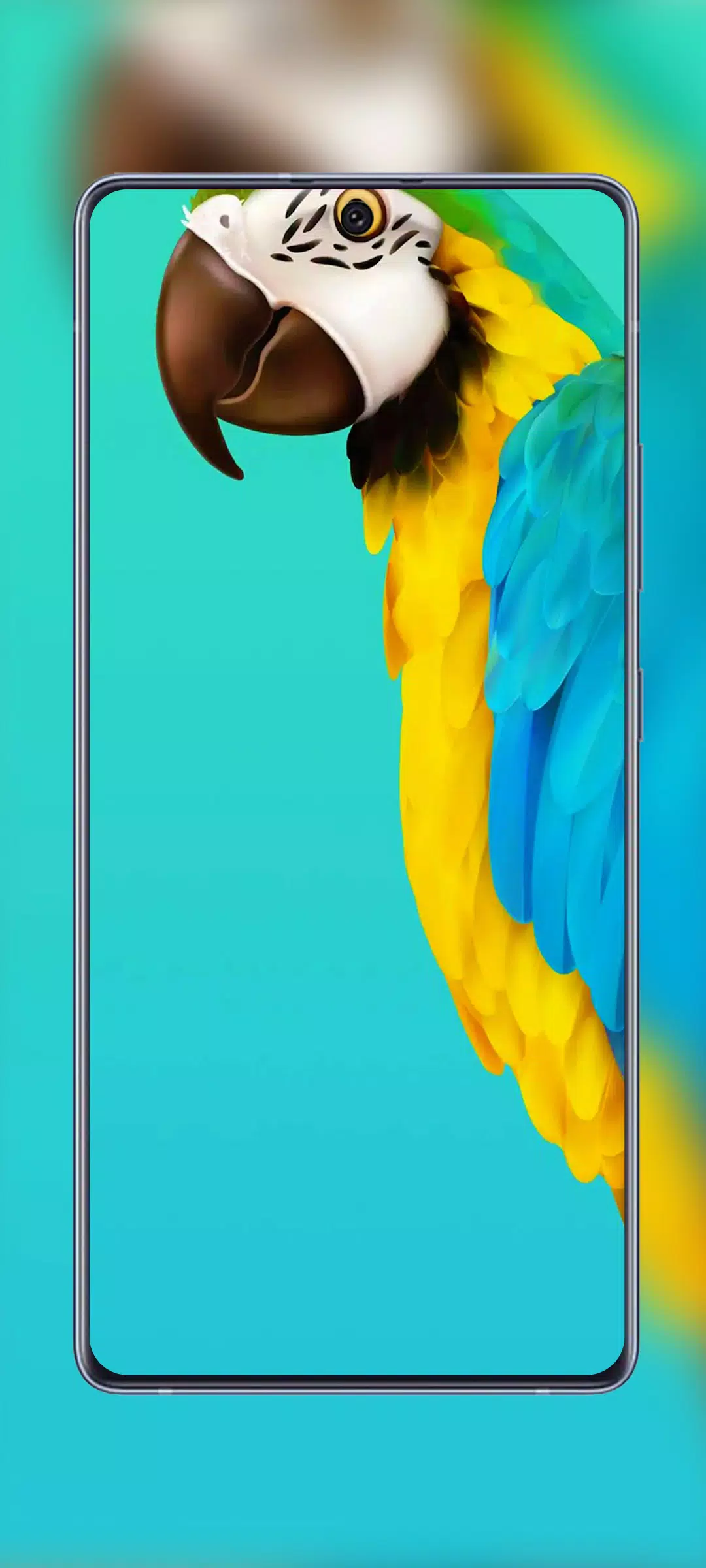 Với bộ sưu tập đa dạng của Samsung Galaxy A72 và A52 Wallpapers, bạn có thể tải xuống và trang trí cho điện thoại mình một cách dễ dàng. Hãy chiêm ngưỡng những thiết kế tuyệt đẹp, kết hợp với độ phân giải cao để làm cho màn hình điện thoại thêm sinh động hơn bao giờ hết. Hãy click để xem hình ảnh về các loại wallpaper của Samsung Galaxy A72 và A