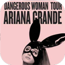 Ariana Hit Songs APK