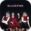 BLACK PINK VIDEOS