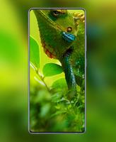 A51/A71 Punch Hole Wallpaper ảnh chụp màn hình 3