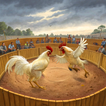 Rooster Fight 2025 Saga icon