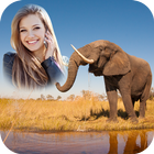 Animal Photo Frames icon