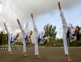 Teakwondo Martial Arts Technique โปสเตอร์