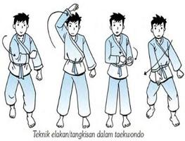 Teakwondo Martial Arts Technique ภาพหน้าจอ 1
