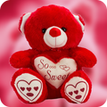 Teddy Day 2020 - Valentine Week