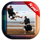 Kempo Martial Arts Technique icône