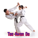 Learning Taekwondo TKF Techniques APK