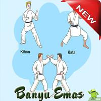 Learn Karate Martial Technique For Beginners capture d'écran 1