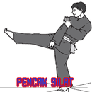 Basic techniques of Pencak Silat APK