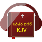 పవిత్ర బైబిల్ - Telugu Audio Bible Offline icône