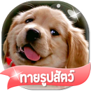 เกมส์ทายรูปสัตว์ 2566-APK